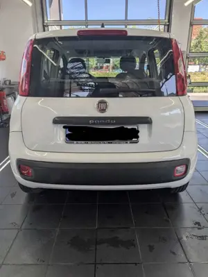 Fiat Panda Lounge Bild 2
