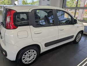 Fiat Panda Lounge Bild 3