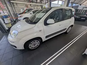 Fiat Panda Lounge Bild 4