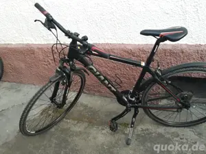 Giant Roam Bj. '24 Gr. M