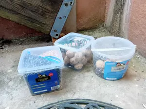 Vogelfutter Streufutter