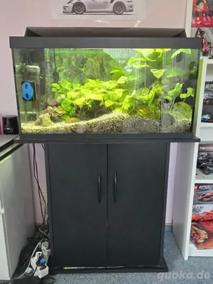 Tetra 100l Aquarium mit Stand 