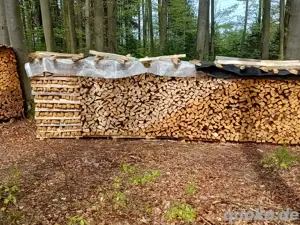Brennholz Weichholz Fichte trocken 