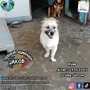 Jakob wartet seit einem Jahr auf eine Anfrage