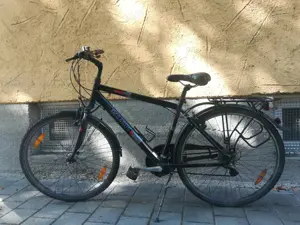 Pegasus Herren Fahrrad gebraucht