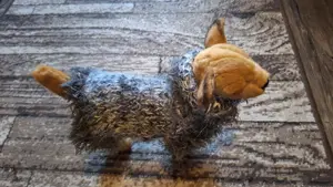 Chihuahua Welpen Mohairwoll Hundepullover in XS