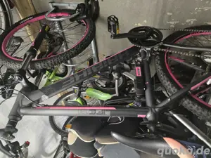 Haibike Life 7,20 Damenbike Bild 2