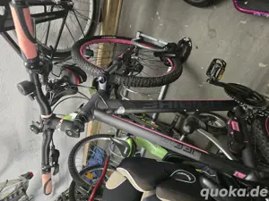 Haibike Life 7,20 Damenbike Bild 4