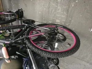 Haibike Life 7,20 Damenbike Bild 3