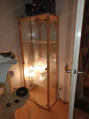 Glass Vitrine mit Beleuchtung 