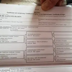 Tinker Achatschecke Bild 9