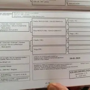 Tinker Achatschecke Bild 8