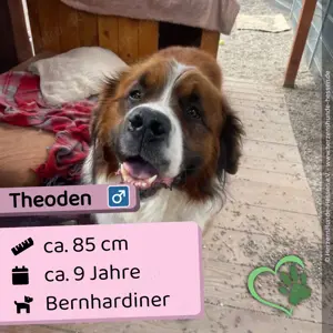 Theoden - freundlich, verspielt