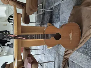 Gitarre aus den 1950igern