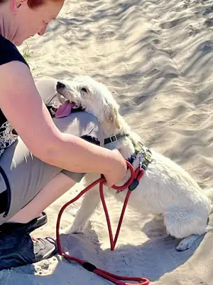 Bonnie sucht ein Zuhause Bild 5