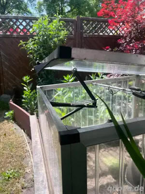 Schildkröten 