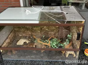 Terrarium 100x50x50m inkl. Heatpanel und Dekoration