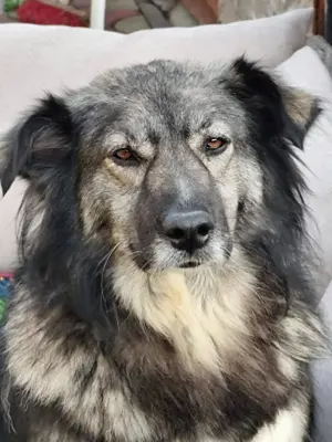 Wilma, ein absoluter Sonnenschein