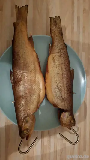 geräucherte Saiblinge 