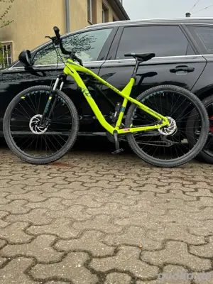 Fahrrad 29 Zoll Top 