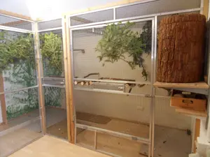 Voliere, Zimmervoliere