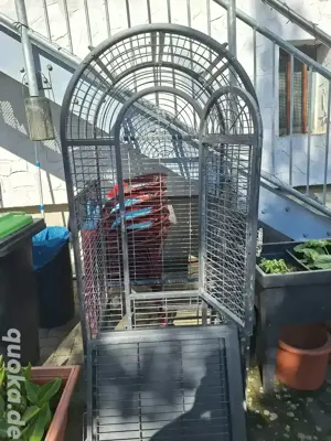 Voliere Montana Cages HAITI