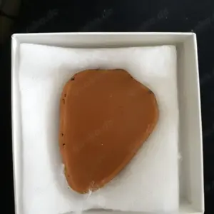 Wachssiegel Graf Konrad 1228 Bild 4