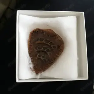 Wachssiegel Graf Konrad 1228 Bild 3