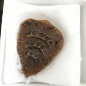 Wachssiegel Graf Konrad 1228