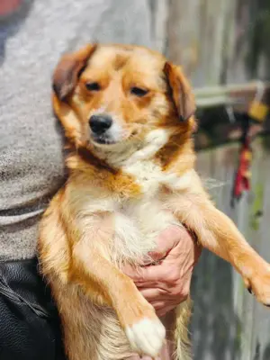 Hetty sucht ihr Glück Bild 6