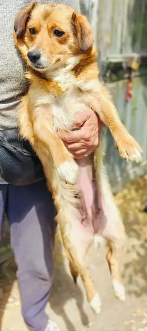 Hetty sucht ihr Glück Bild 5