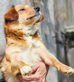 Hetty sucht ihr Glück Bild 8