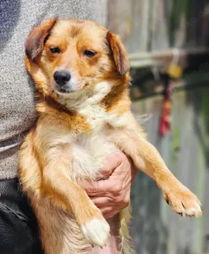 Hetty sucht ihr Glück Bild 7