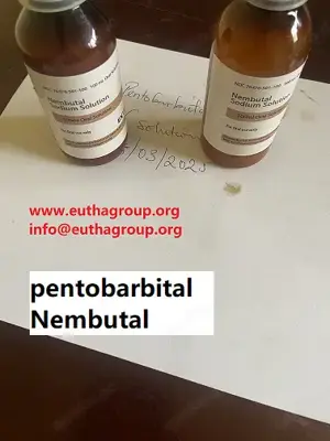Sterbehilfe und Veterinärdienste