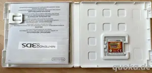 Pokemon DS Spiel Bild 2