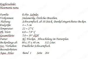 Kupfersalmler Bild 2