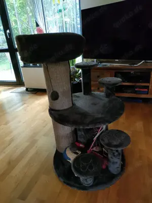 Kratzbaum für ältere Katzen 