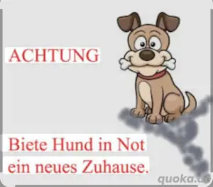suche kleinen hund
