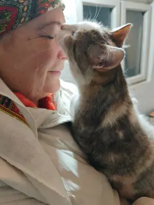 fröhliche, liebevolle junge Katze Greta sucht ein tolles Zuhause Bild 3