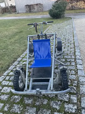 Dyck-Trainingswagen für Zughunde