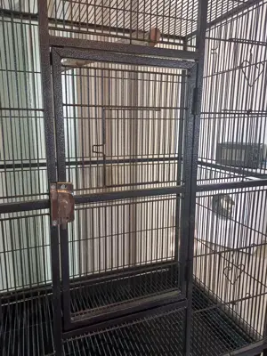 Großer Vogelkäfig mit Unterteil u. Lieferung Bild 3