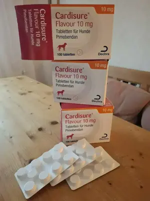 Cardisure 10mg für den Hund
