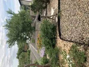 Verkaufe Garten direkt am Wasser in Brandenburg Stadt auf Pachtland Bild 3