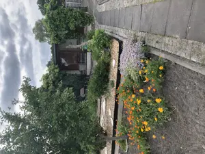 Verkaufe Garten direkt am Wasser in Brandenburg Stadt auf Pachtland Bild 4