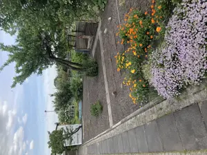 Verkaufe Garten direkt am Wasser in Brandenburg Stadt auf Pachtland Bild 2