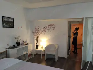Panda Wellness Chinesische Tuina Massage in Aschaffenburg Bild 2