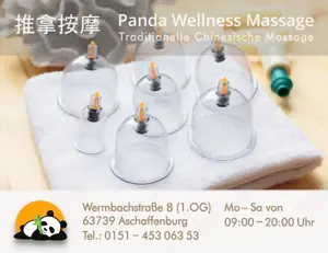 Panda Wellness Chinesische Tuina Massage in Aschaffenburg Bild 8