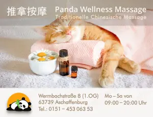 Panda Wellness Chinesische Tuina Massage in Aschaffenburg Bild 5