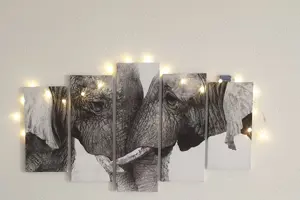 Verkaufe 5teiliges Elefantenbild (Leinwand)