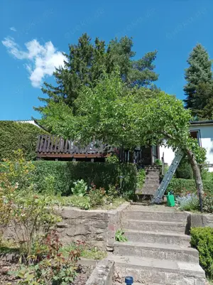 Gartengrundstück in ruhiger Lage nähe Draisdorf Bild 2